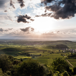 Kaiserstuhl